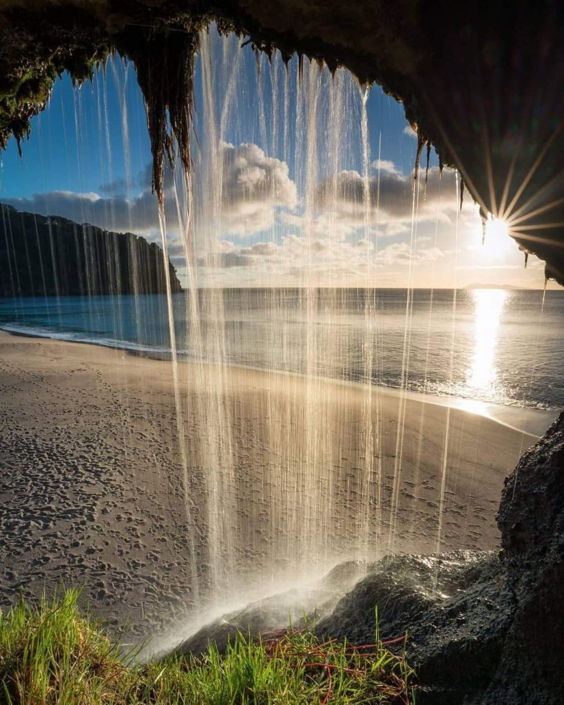 Thérapie humaniste - santé - bien-être